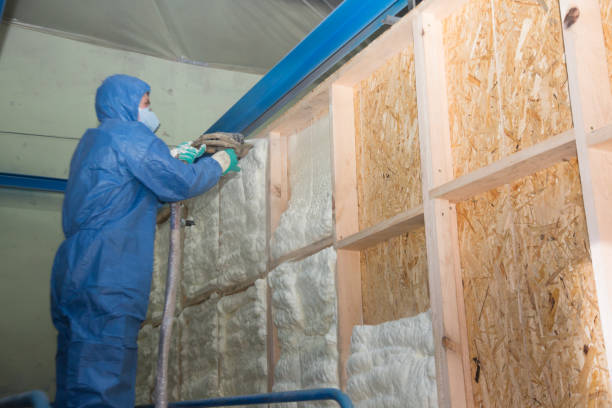 Best Attic Insulation Installation  in Warsaw, IL